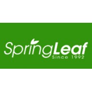 Spring leaf